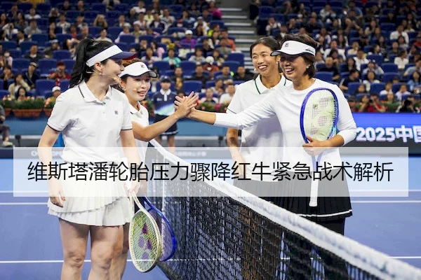 维斯塔潘轮胎压力骤降红牛紧急战术解析